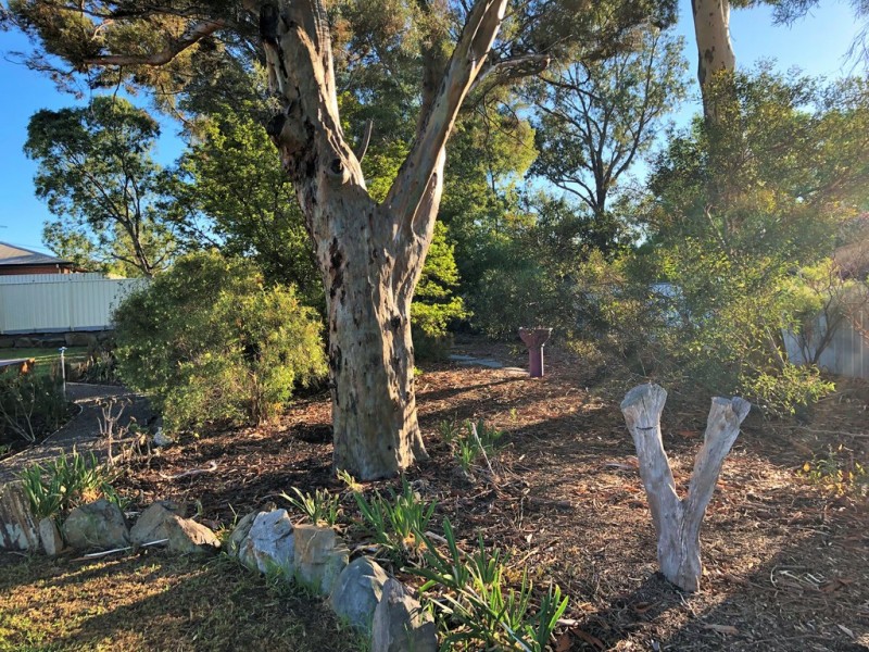 42 Pridmore Avenue, Mclaren Vale SA 5171