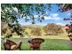 115 Boards Road, Wattle Flat SA 5203