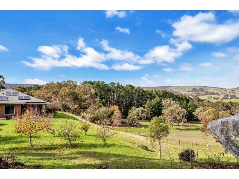 115 Boards Road, Wattle Flat SA 5203
