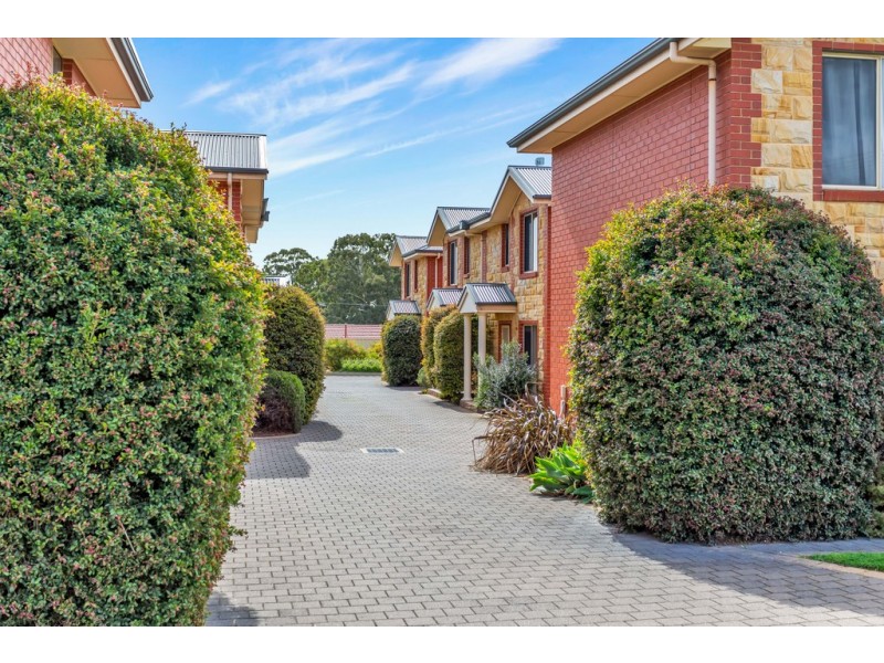 6/31B Russell Avenue, Seacombe Gardens SA 5047