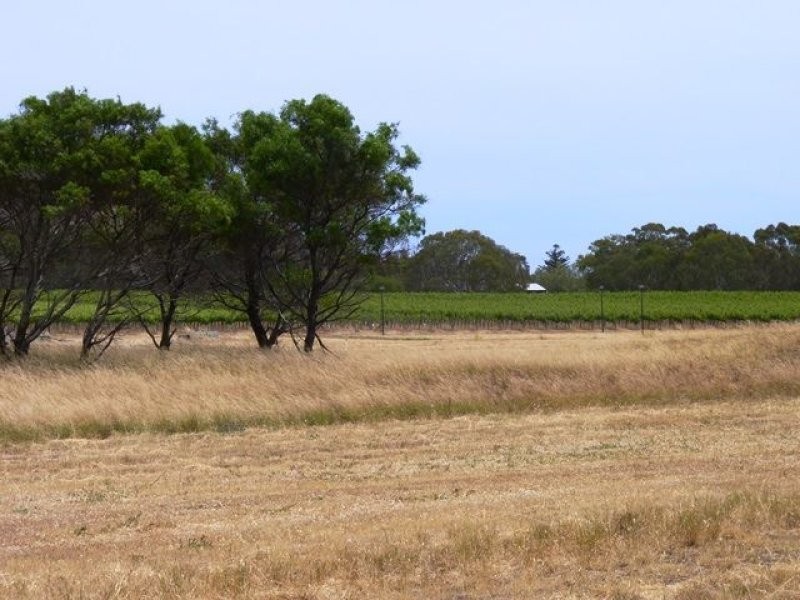 Lot 48 Troon Drive, Normanville SA 5204