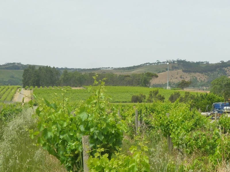 26 Ingoldby Road, Mclaren Flat SA 5171