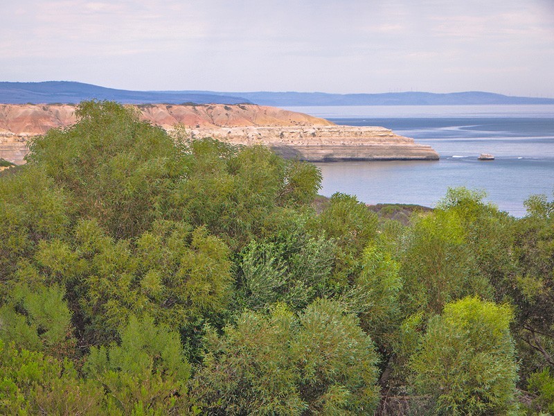 25 Oleander Road, Maslin Beach SA 5170