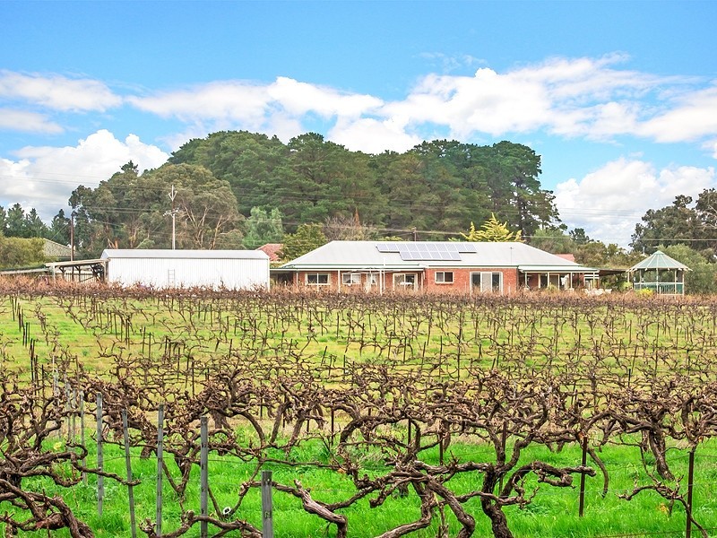 323 Kangarilla Road, Mclaren Flat SA 5171