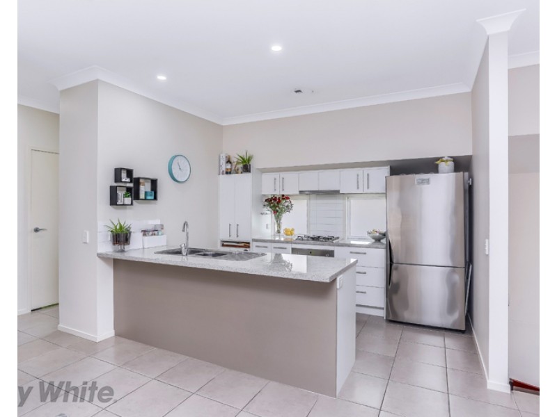 20 Kingfisher Lane, East Brisbane QLD 4169