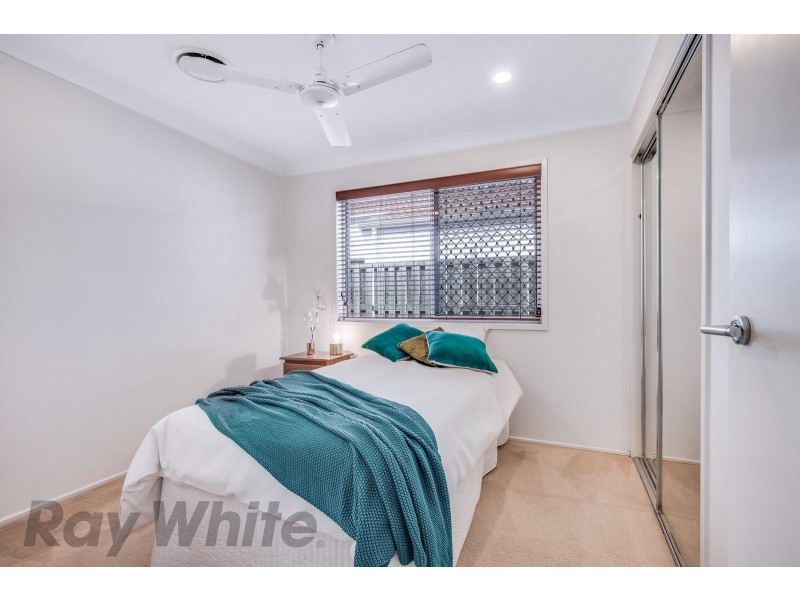 64 Waterlily Crct, Carseldine QLD 4034