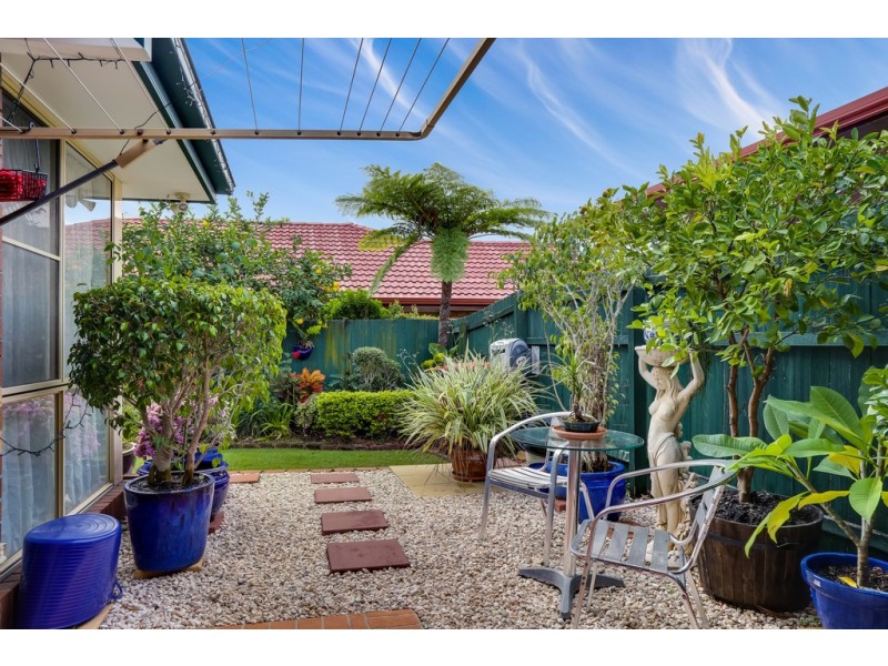 36 Wimbledon Circuit, Carseldine QLD 4034