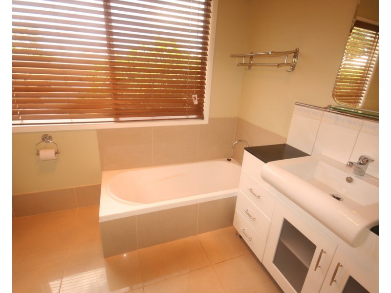 115 Zillman Road, Hendra QLD 4011