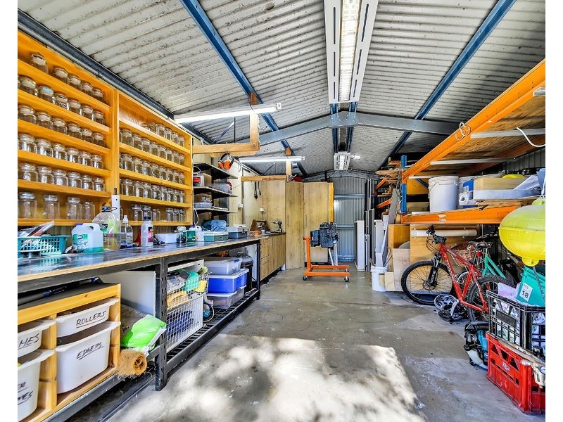 57 Burn Street, Camp Hill QLD 4152