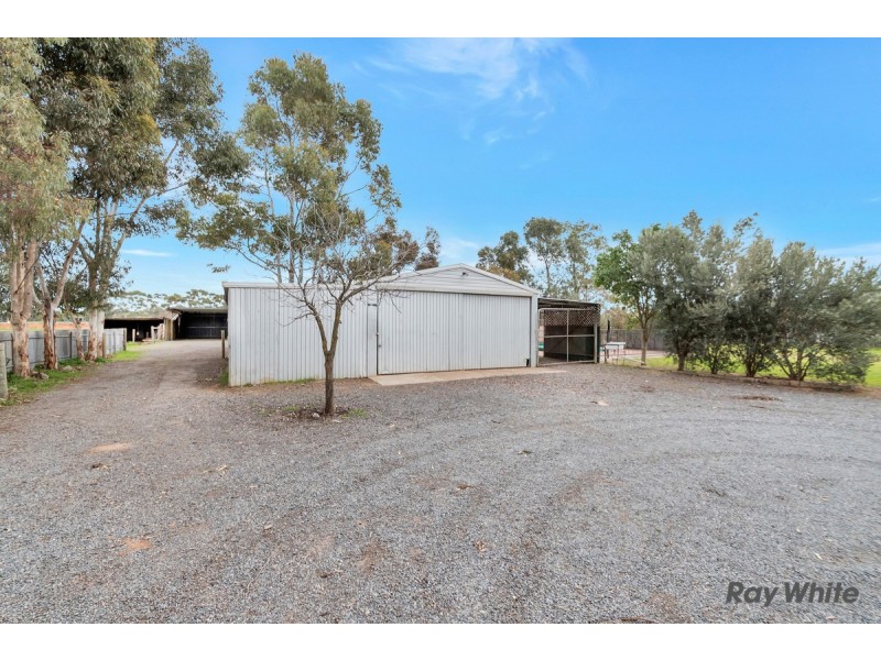 27 Reed Road, Hillier SA 5116