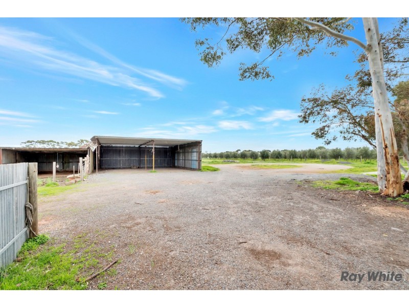 27 Reed Road, Hillier SA 5116