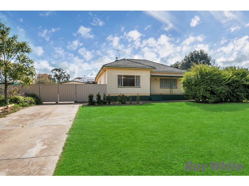 14 Jane Street, Willaston SA 5118