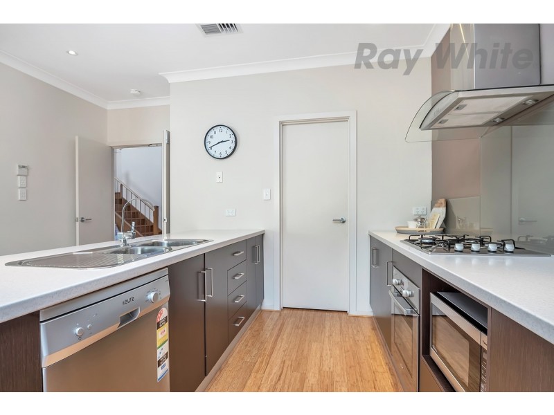 73 Hindmarsh Cct, Mawson Lakes SA 5095