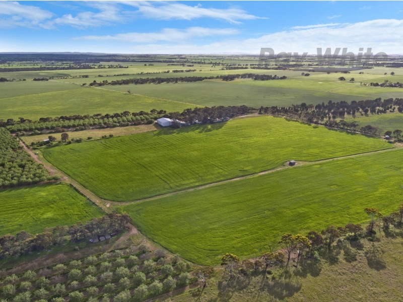 331 Fairlie Road, Ward Belt SA 5118
