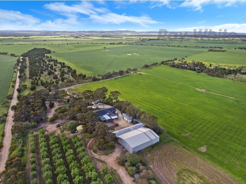 331 Fairlie Road, Ward Belt SA 5118