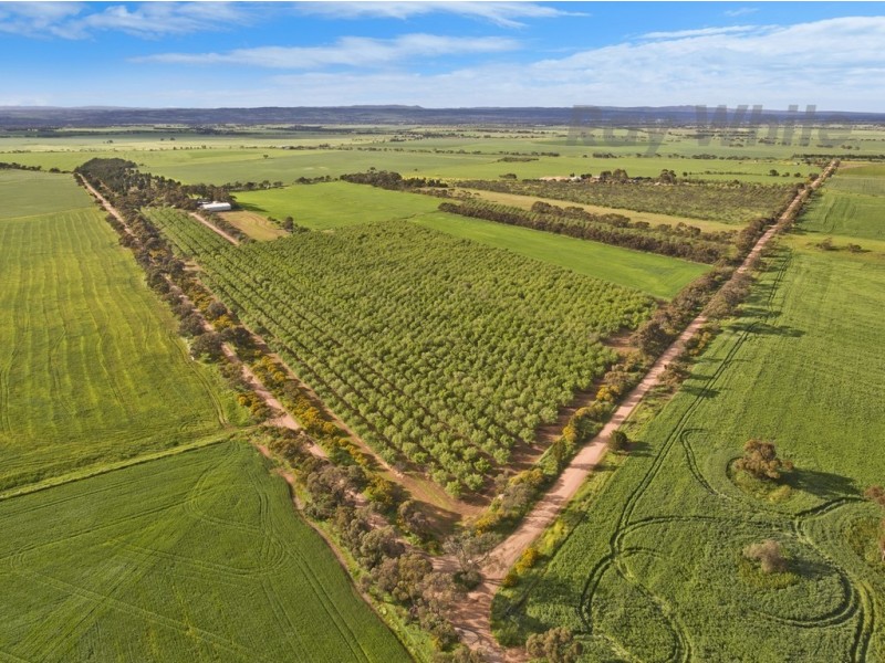 331 Fairlie Road, Ward Belt SA 5118
