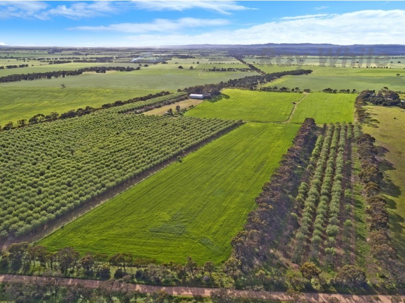 331 Fairlie Road, Ward Belt SA 5118