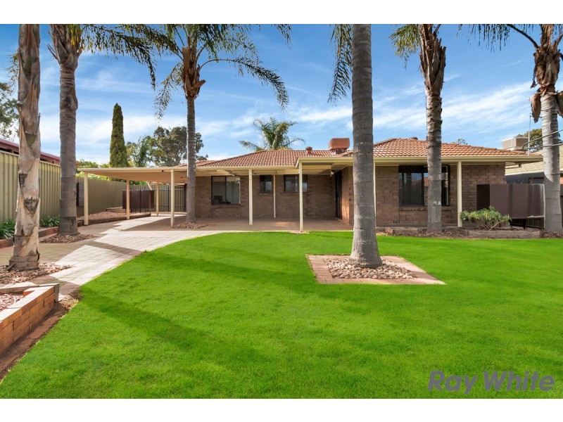 27 Causby Cres, Willaston SA 5118