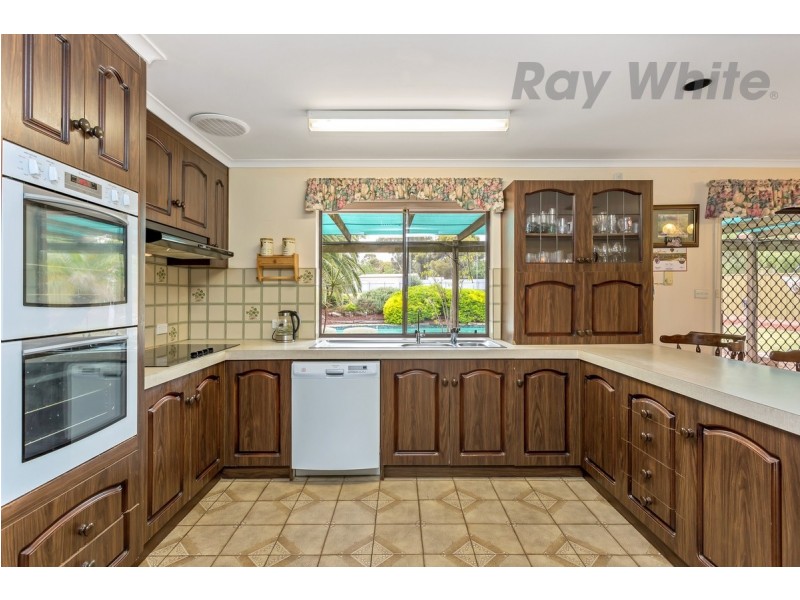 8 Cockshell Drive, Gawler East SA 5118