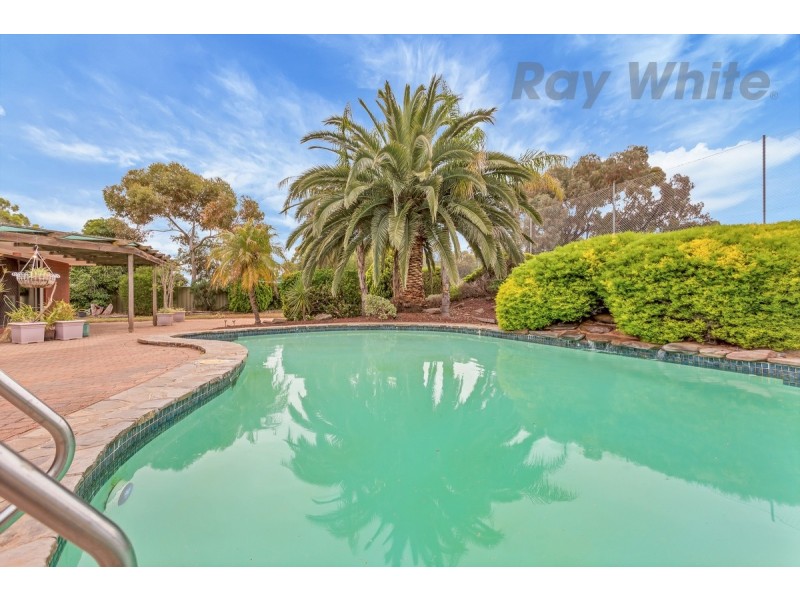 8 Cockshell Drive, Gawler East SA 5118