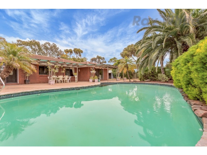 8 Cockshell Drive, Gawler East SA 5118