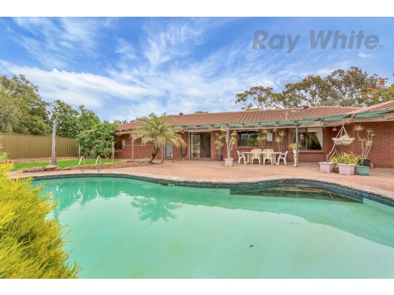 8 Cockshell Drive, Gawler East SA 5118