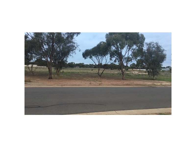 Lot 4 Fiddlewood Drive, Freeling SA 5372