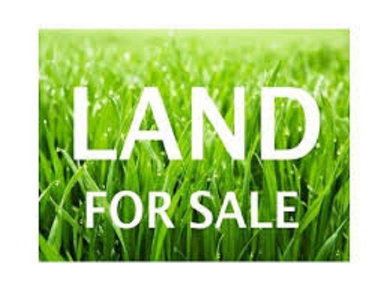 Lot 4 Fiddlewood Drive, Freeling SA 5372