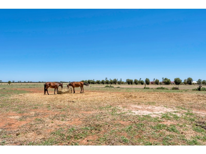 Lot 40 Racecourse Road, Balaklava SA 5461