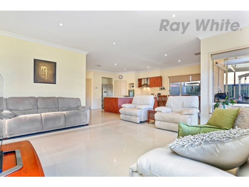 6 Oriole Walk, Mawson Lakes SA 5095