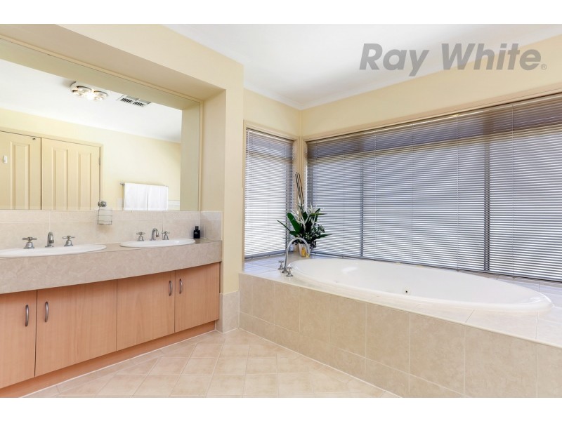 6 Oriole Walk, Mawson Lakes SA 5095