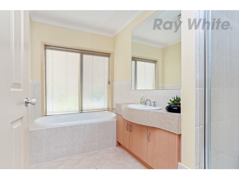 6 Oriole Walk, Mawson Lakes SA 5095