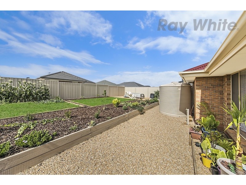 20 Knightley Circuit, Freeling SA 5372
