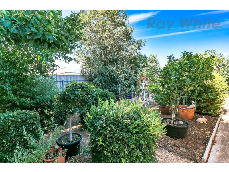 5 Springfield Court, Evanston Park SA 5116