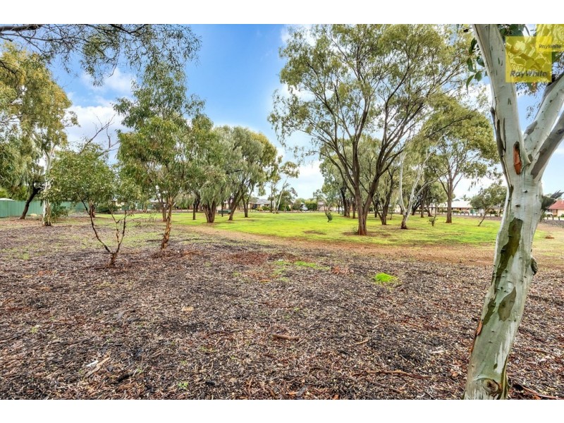 25 Toorak Drive, Blakeview SA 5114