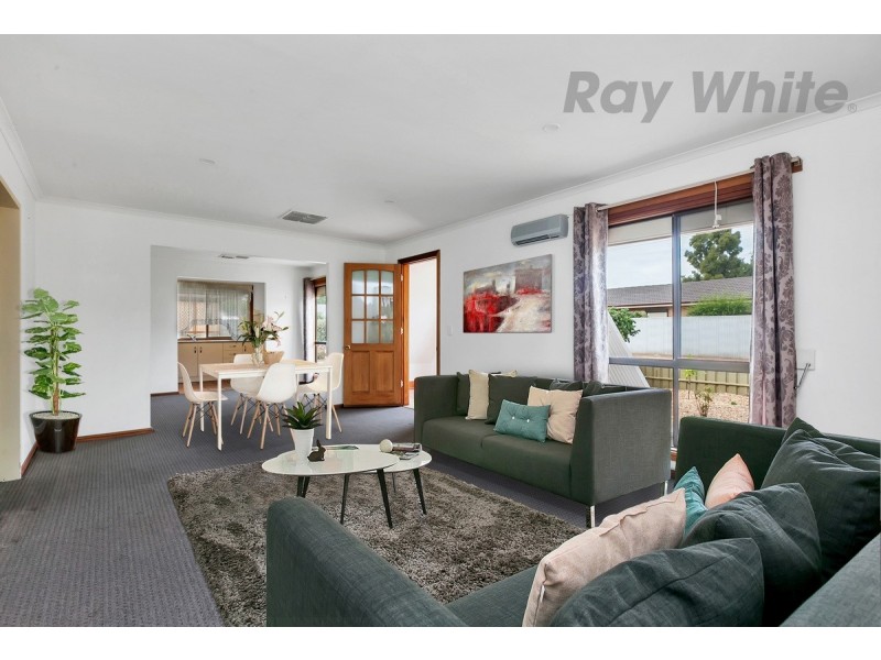 3 Treloar Street, Willaston SA 5118