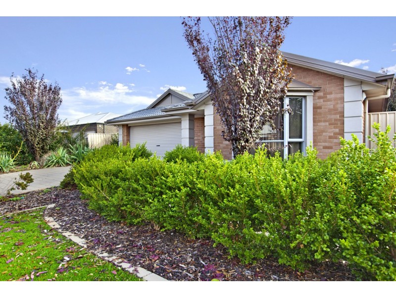 7 Roche Street, Freeling SA 5372