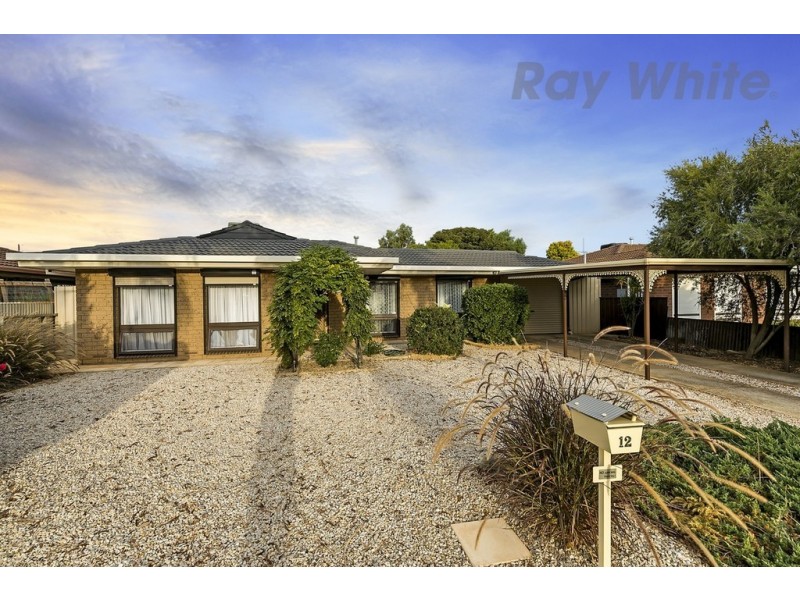 12 Chelmsford Grove, Andrews Farm SA 5114
