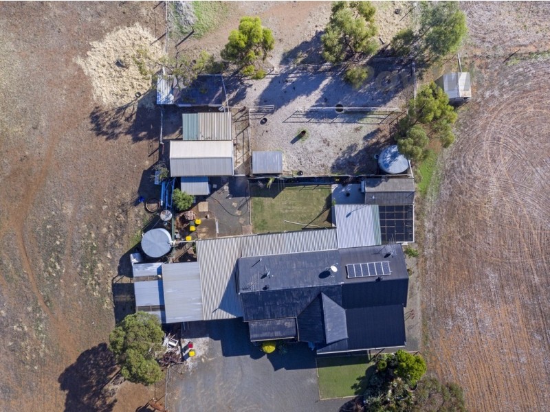 806 Mudla Wirra Road, Wasleys SA 5400