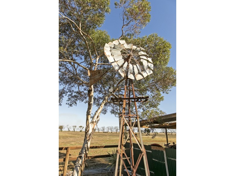 806 Mudla Wirra Road, Wasleys SA 5400