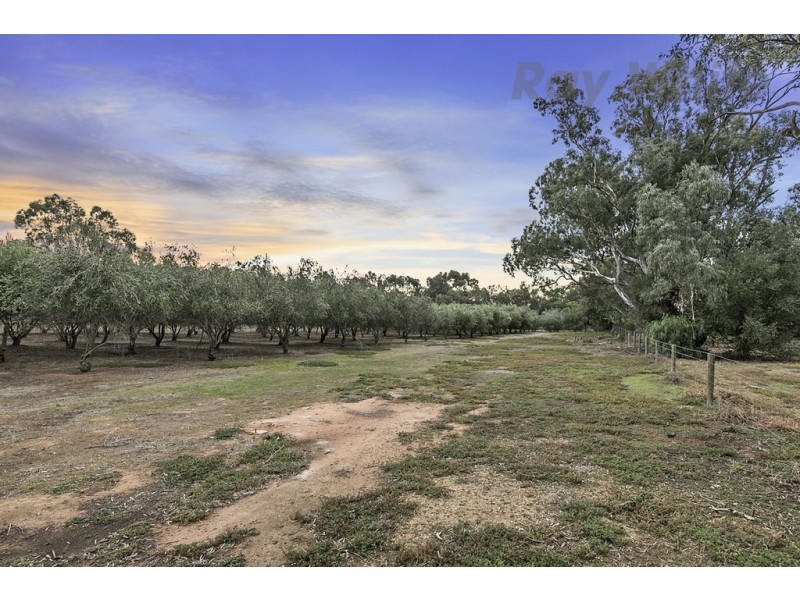 237 Dawkins Road, Lewiston SA 5501