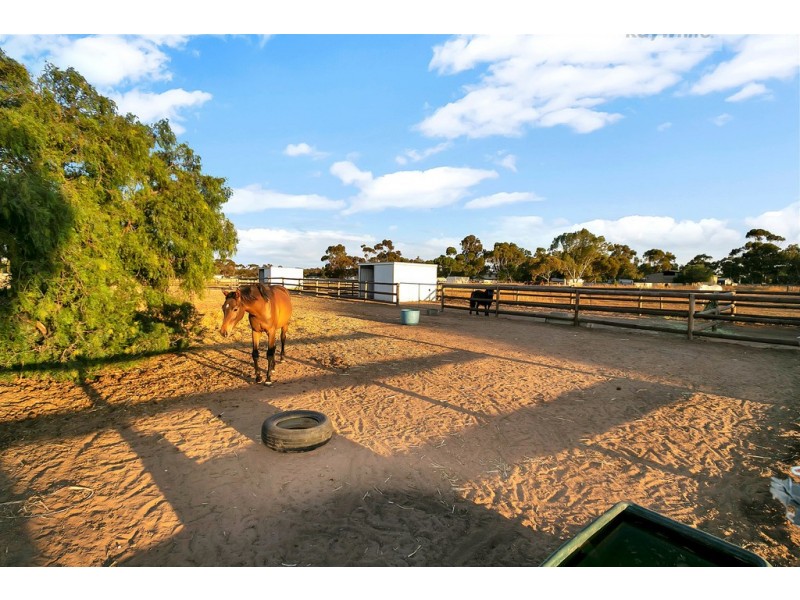 171 Hayman Road, Lewiston SA 5501