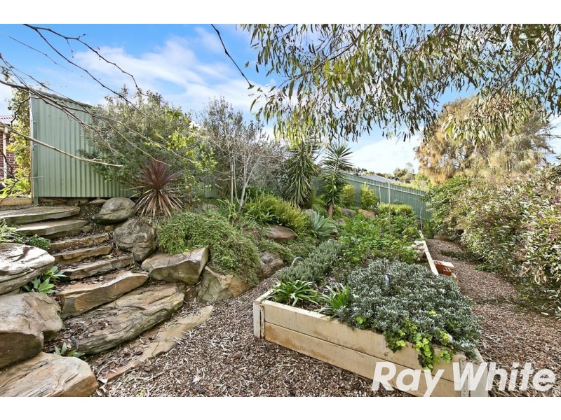 11 Shrike Place, Hewett SA 5118