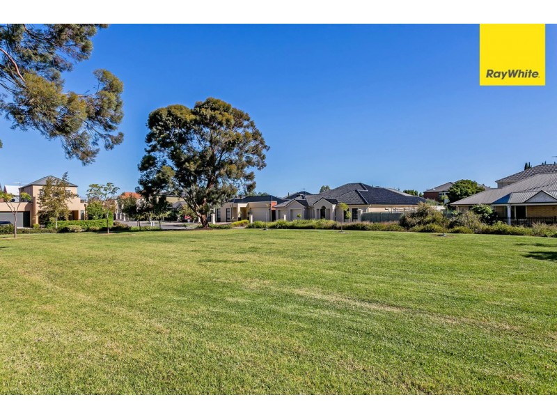 25 Grasswren Way, Mawson Lakes SA 5095