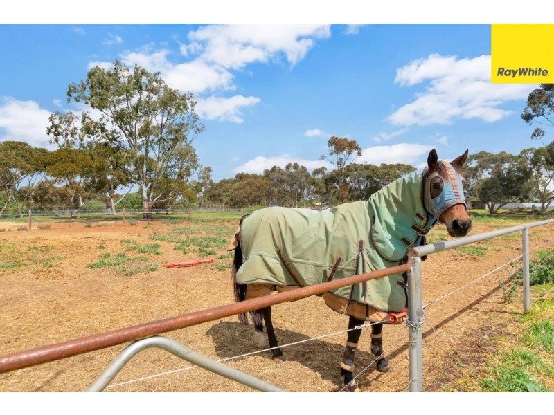 1308 Boundary Road, Lewiston SA 5501