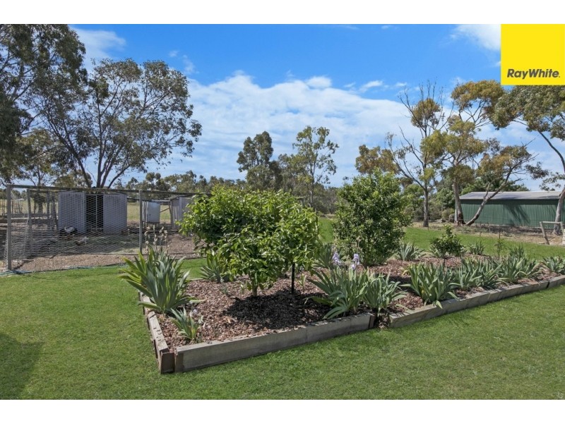 65 Borrow Street, Freeling SA 5372