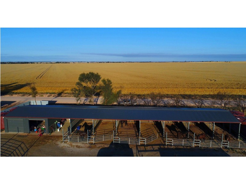 1086 Barabba Road, Mallala SA 5502