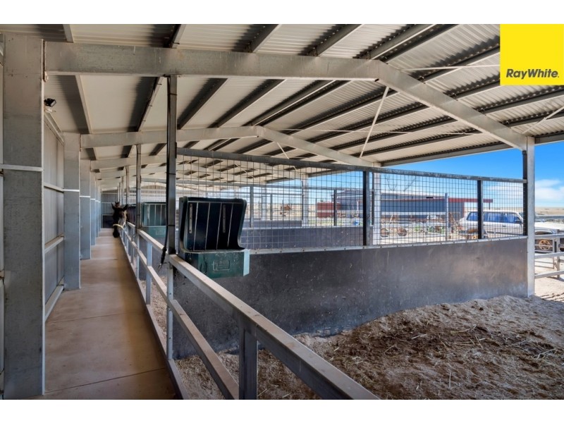 1086 Barabba Road, Mallala SA 5502