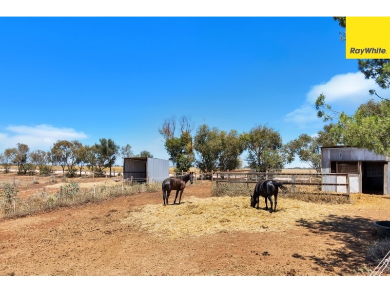 1086 Barabba Road, Mallala SA 5502