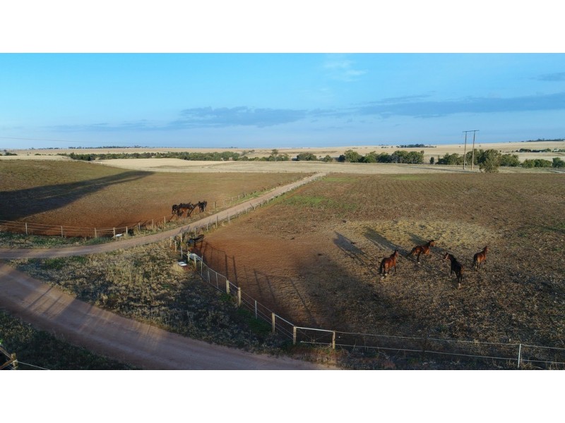 1086 Barabba Road, Mallala SA 5502